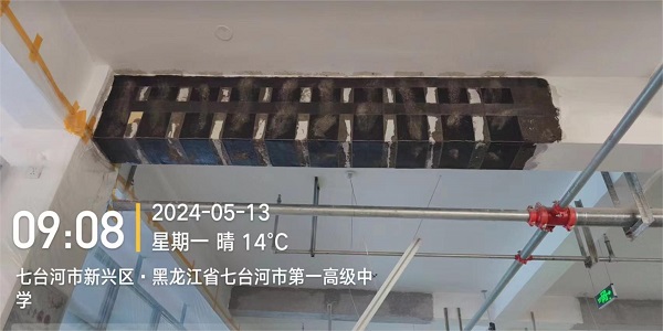 香港摇钱树资料网