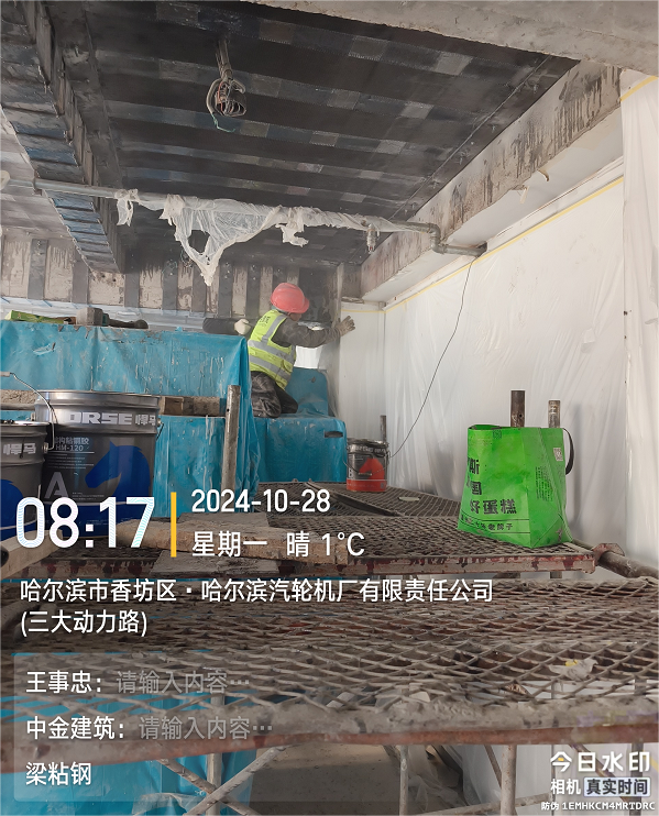 香港摇钱树资料网