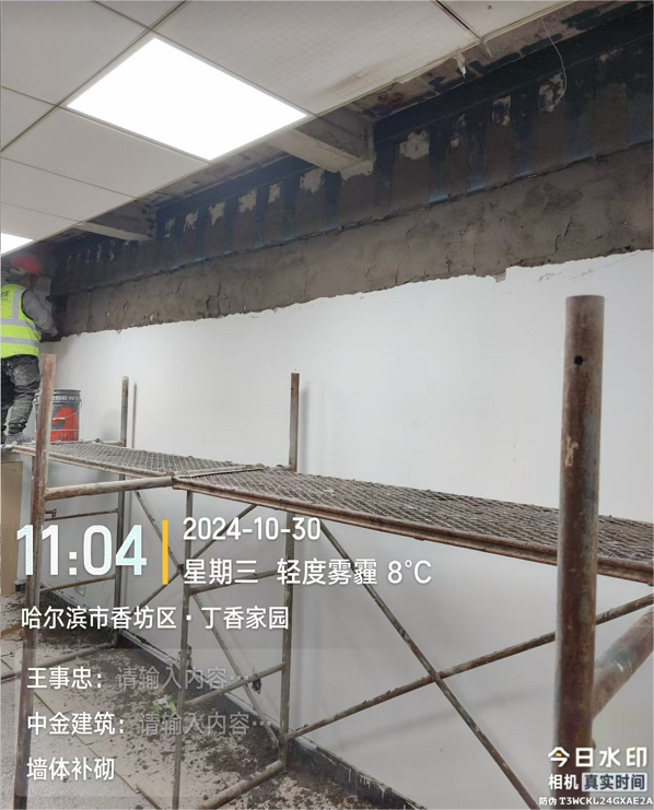 香港摇钱树资料网
