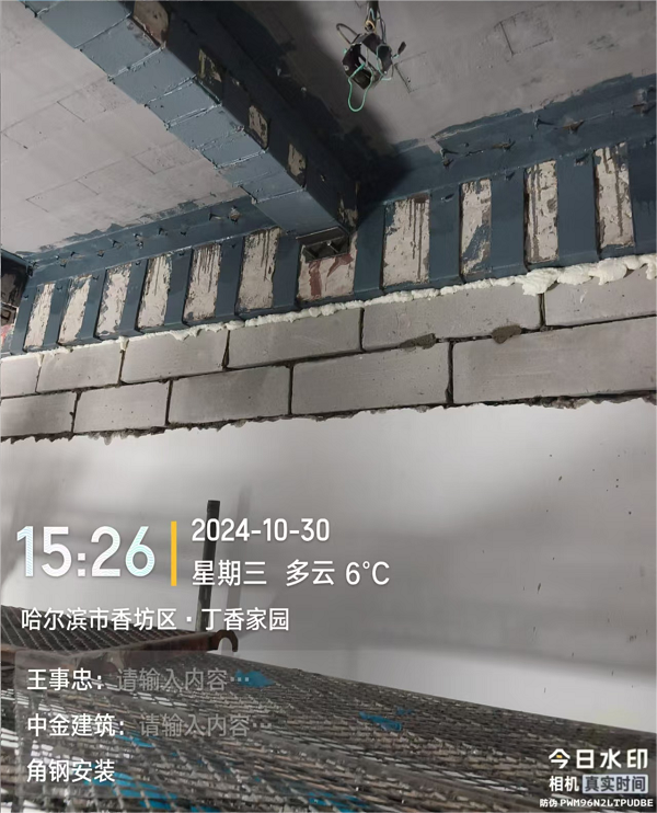 香港摇钱树资料网