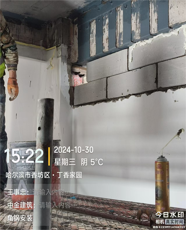香港摇钱树资料网