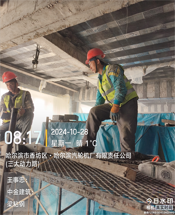 香港摇钱树资料网