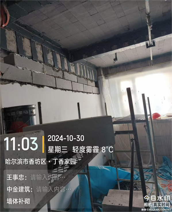 香港摇钱树资料网