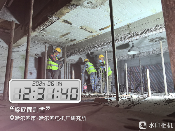香港摇钱树资料网