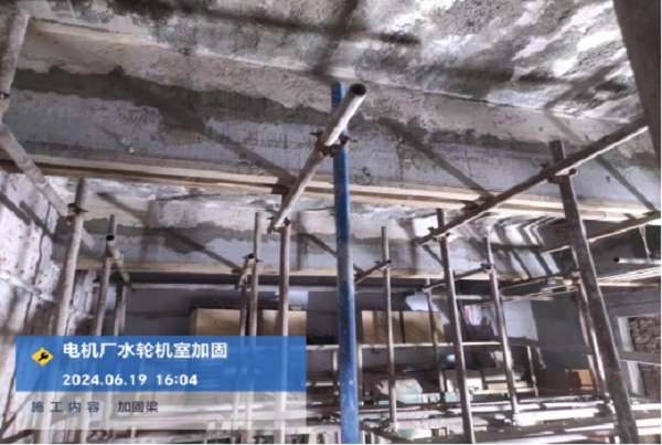 香港摇钱树资料网
