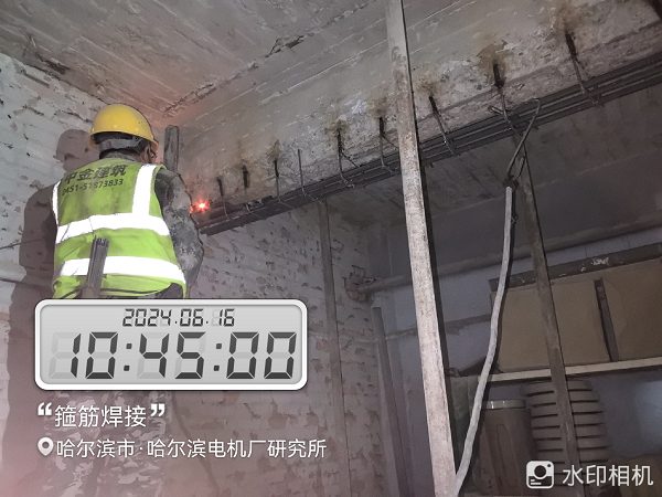 香港摇钱树资料网