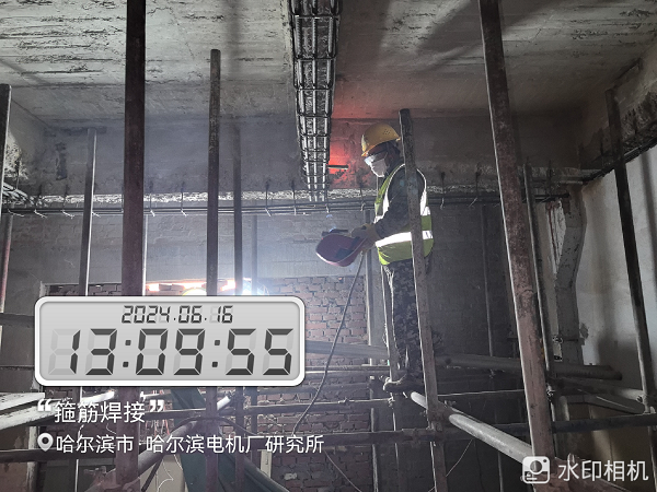 香港摇钱树资料网