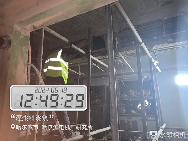 香港摇钱树资料网