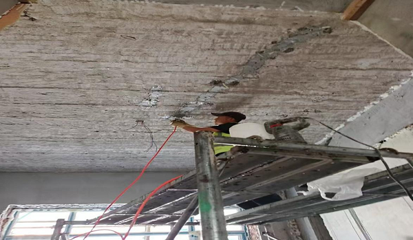 香港摇钱树资料网