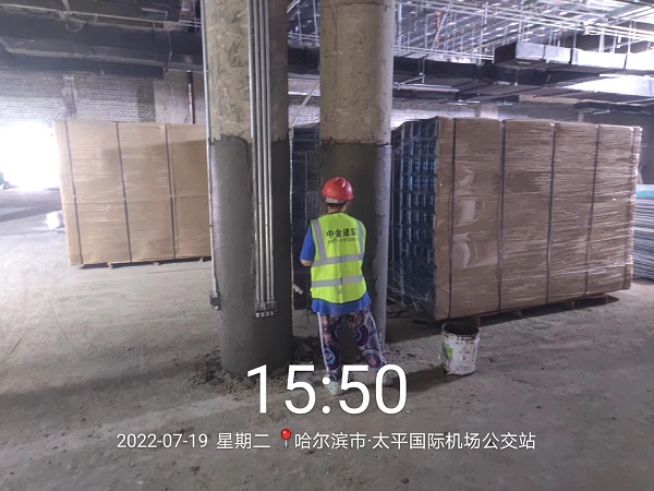 香港摇钱树资料网