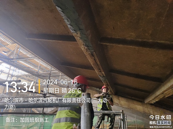 香港摇钱树资料网
