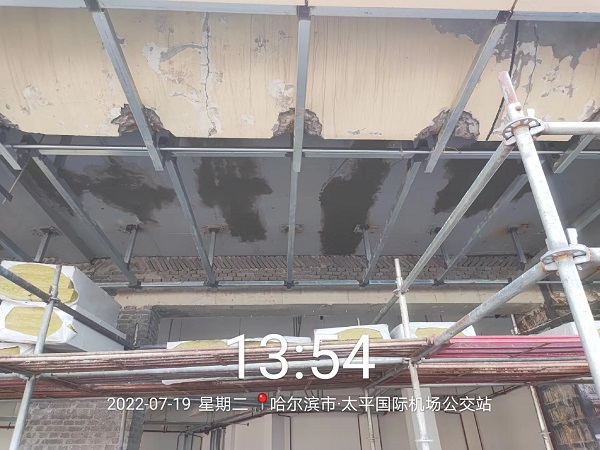 香港摇钱树资料网