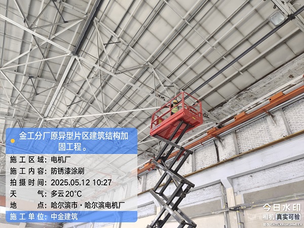 香港摇钱树资料网