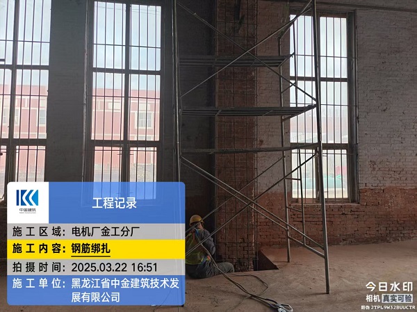 香港摇钱树资料网