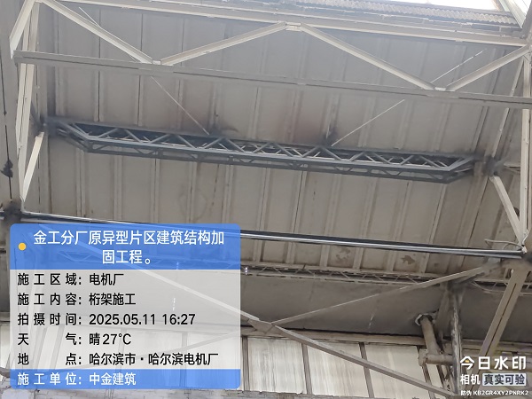 香港摇钱树资料网