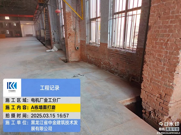 香港摇钱树资料网