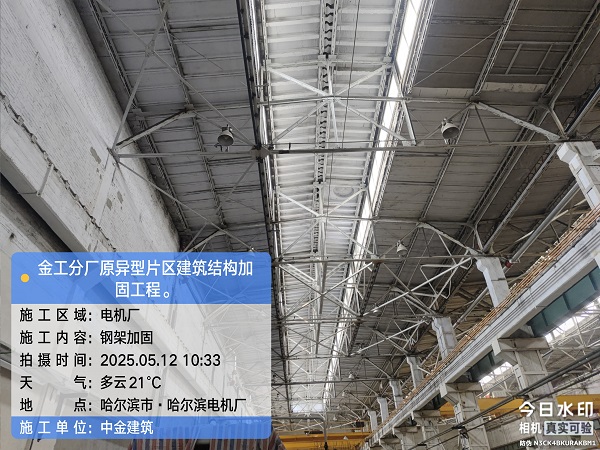 香港摇钱树资料网