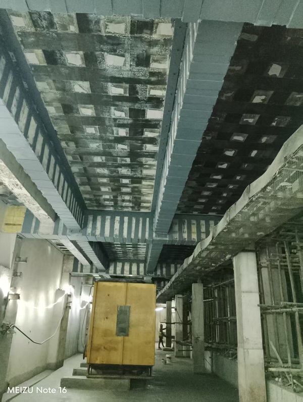 香港摇钱树资料网