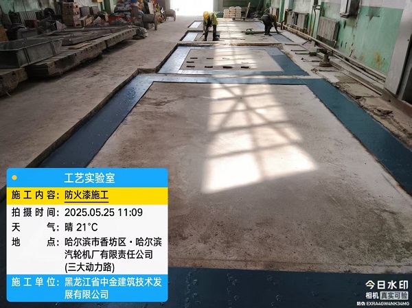 香港摇钱树资料网