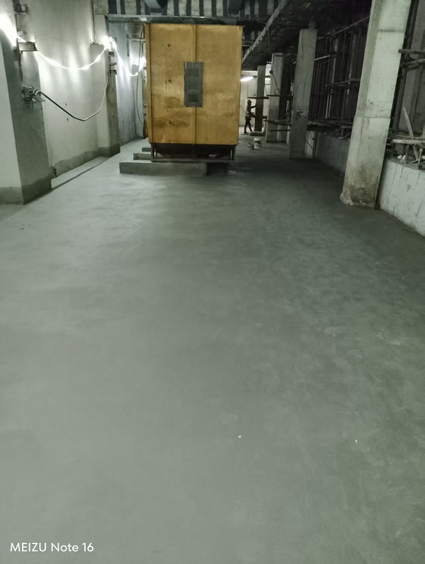 香港摇钱树资料网