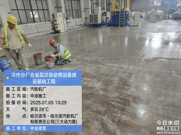 香港摇钱树资料网
