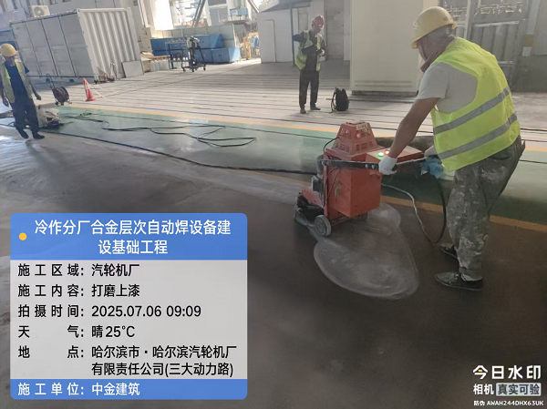香港摇钱树资料网