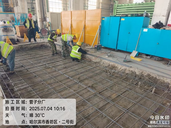 香港摇钱树资料网