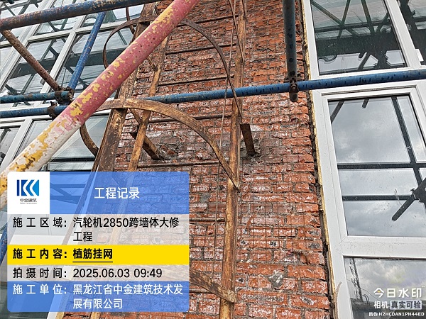 香港摇钱树资料网