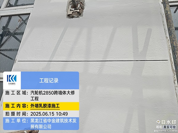 香港摇钱树资料网