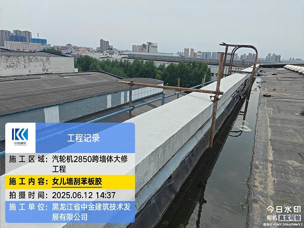 香港摇钱树资料网