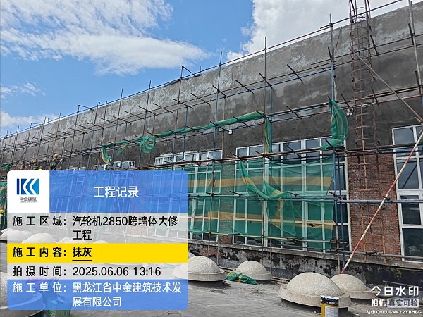 香港摇钱树资料网