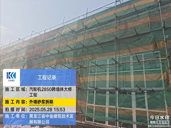 香港摇钱树资料网