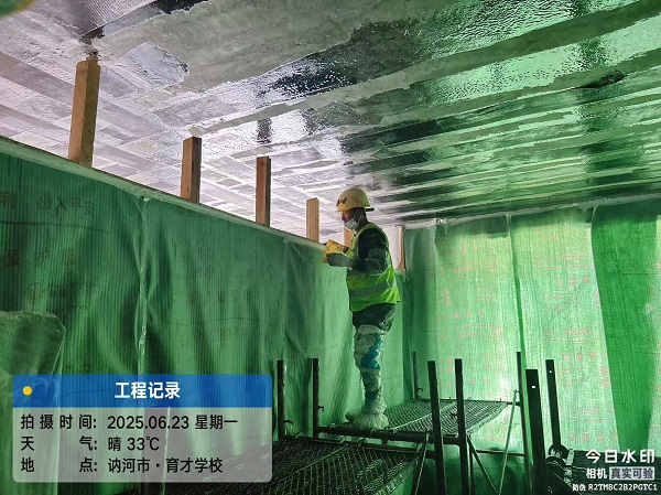 香港摇钱树资料网
