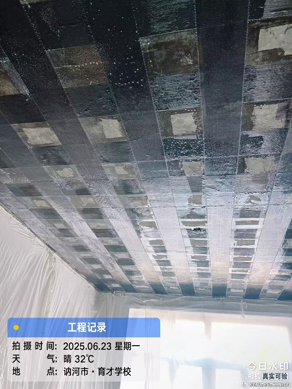 香港摇钱树资料网