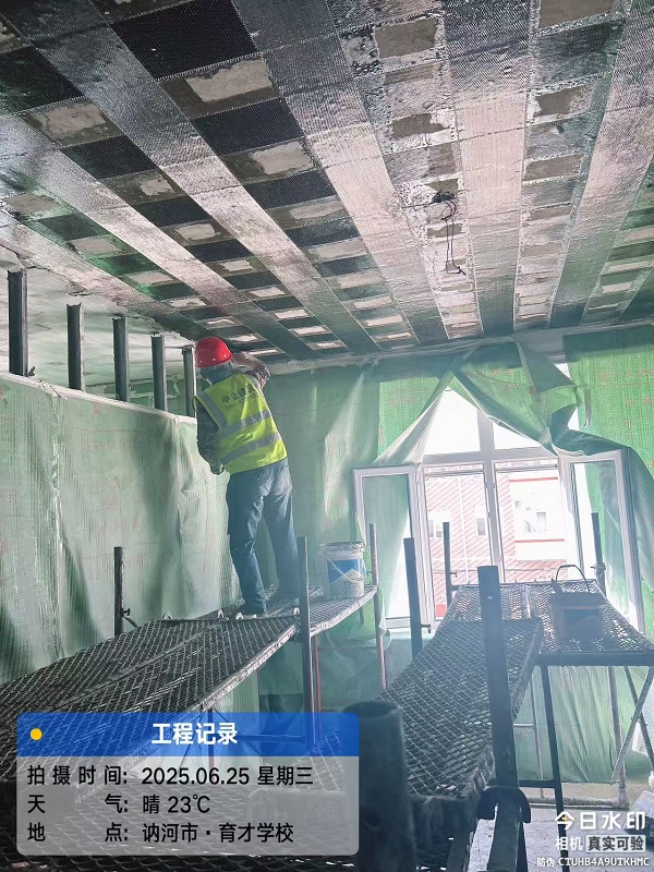 香港摇钱树资料网