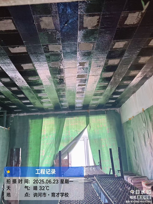香港摇钱树资料网