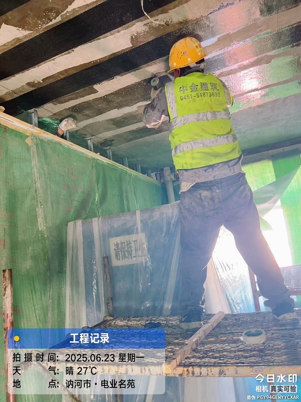 香港摇钱树资料网