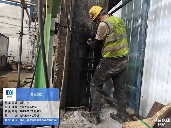 香港摇钱树资料网