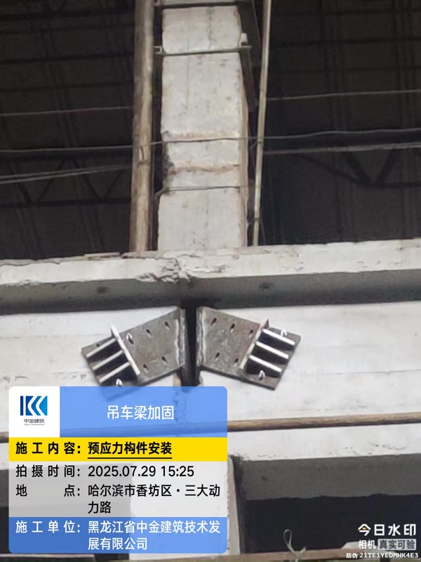 香港摇钱树资料网