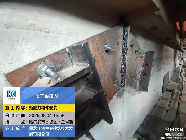 香港摇钱树资料网