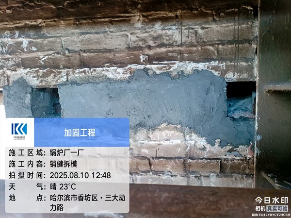 香港摇钱树资料网