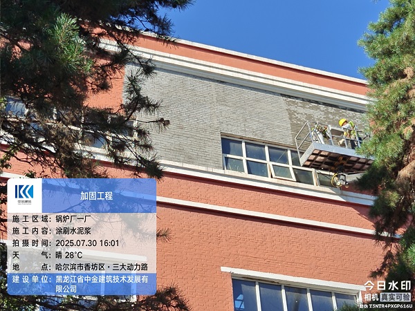 香港摇钱树资料网