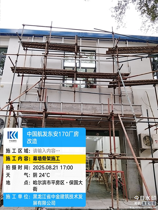 香港摇钱树资料网