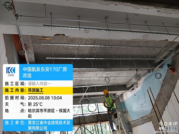 香港摇钱树资料网