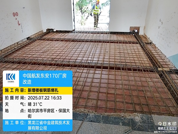 香港摇钱树资料网