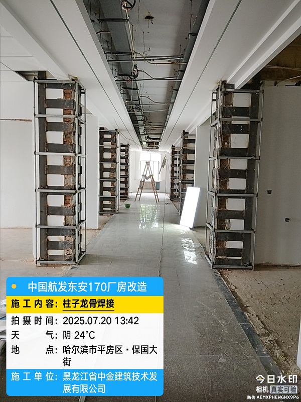 香港摇钱树资料网