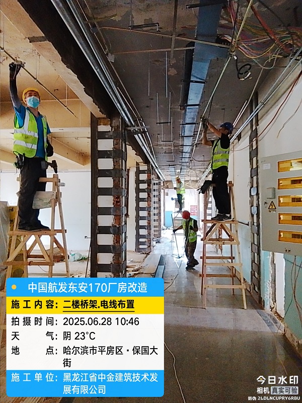 香港摇钱树资料网