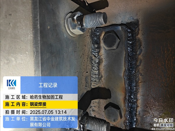 香港摇钱树资料网