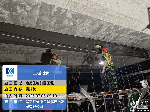 香港摇钱树资料网