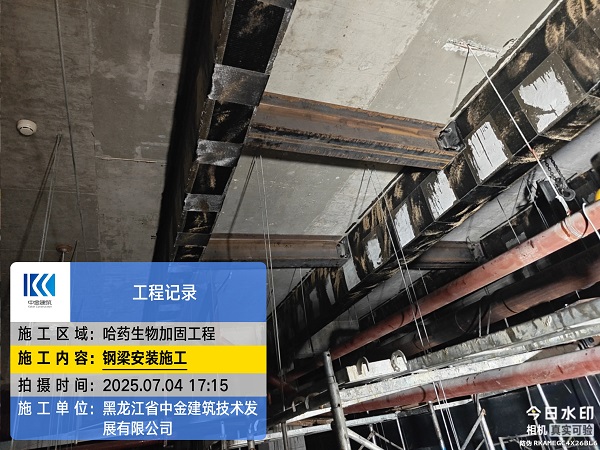 香港摇钱树资料网